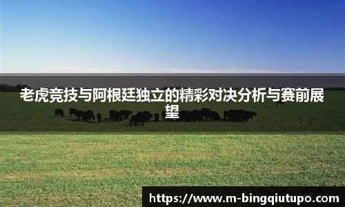 Mg冰球突破平台